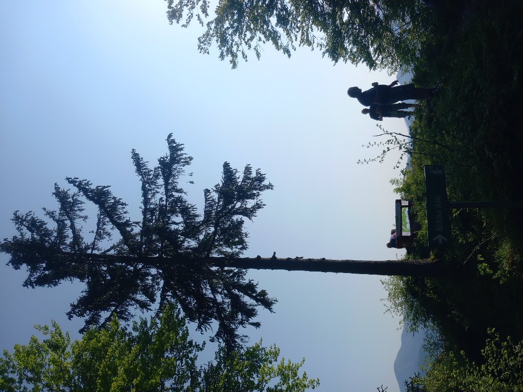20230527_173034.jpg