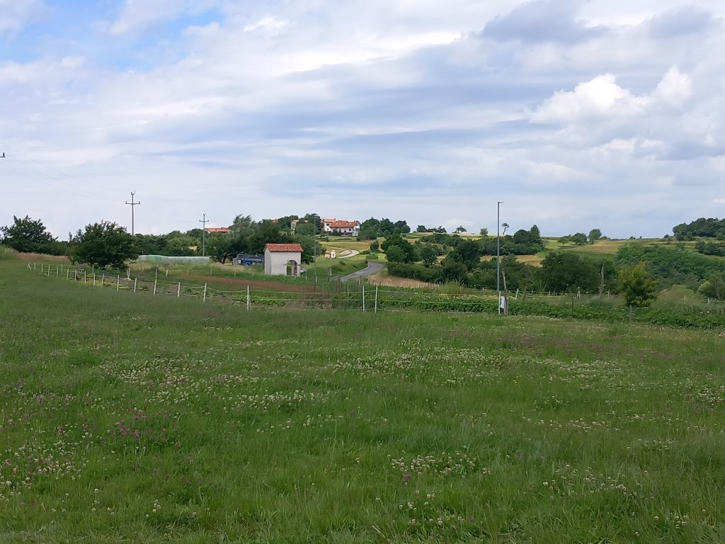 20240616_112510.jpg