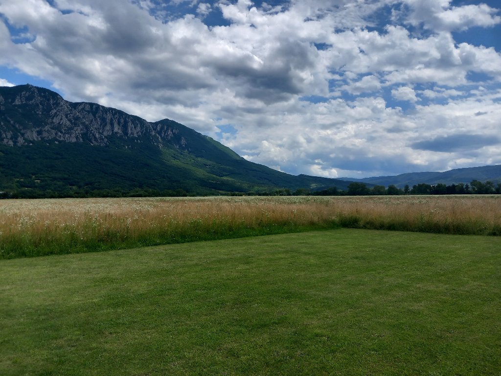 20240616_132532.jpg