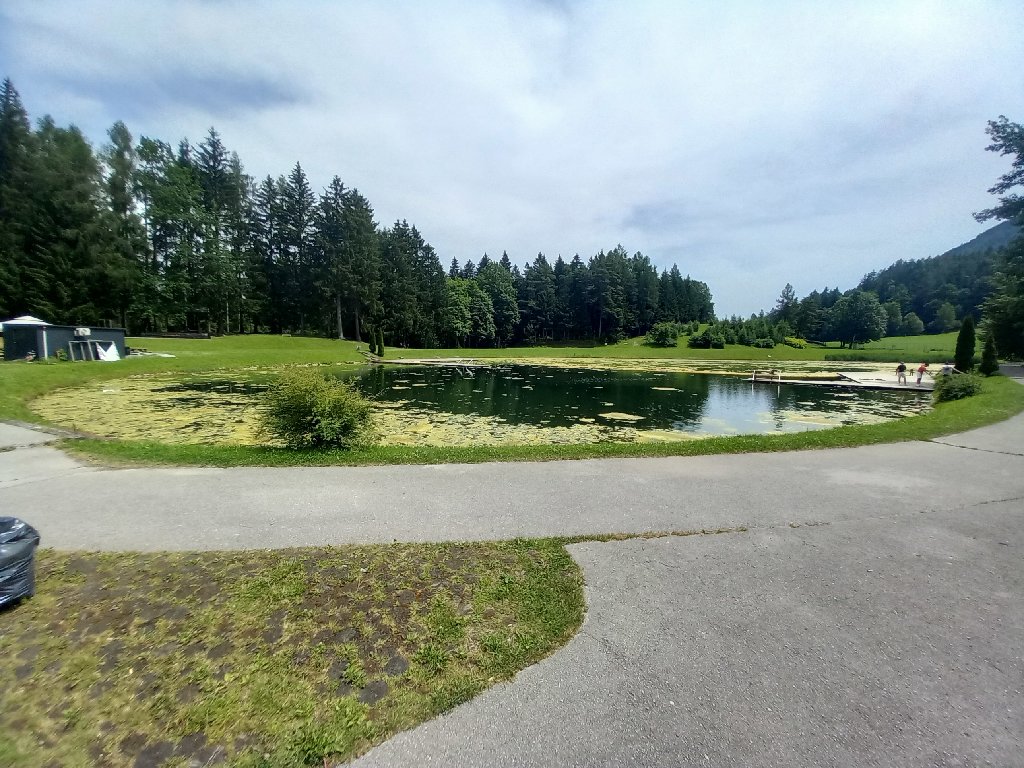 20240620_123603.jpg