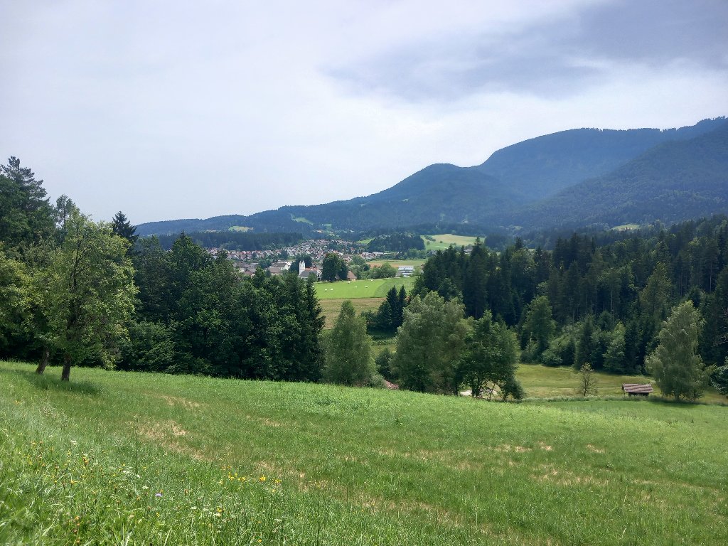 20240620_125926.jpg