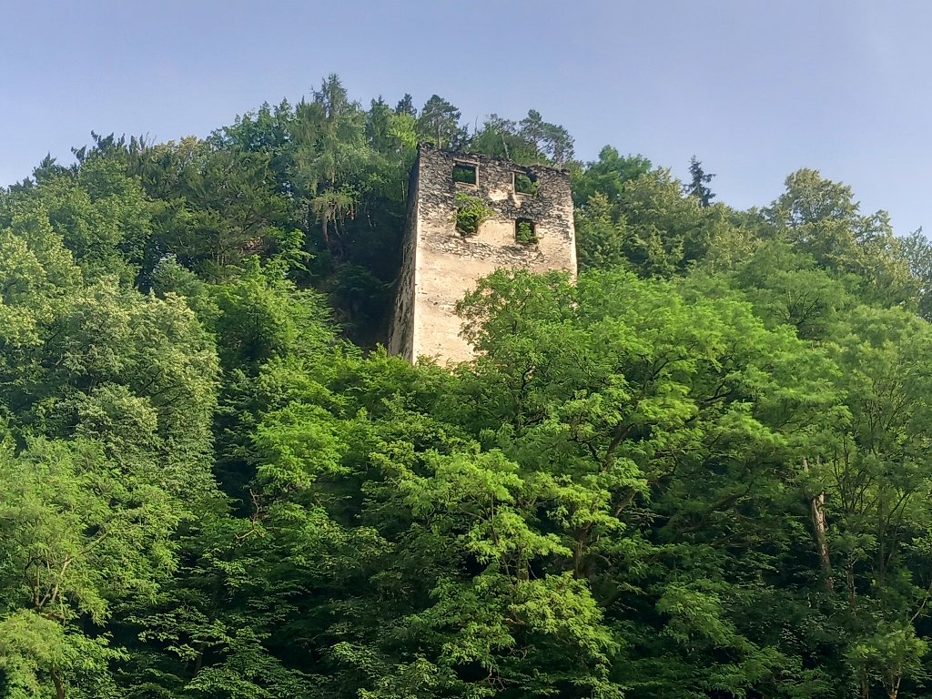 20240620_175255.jpg