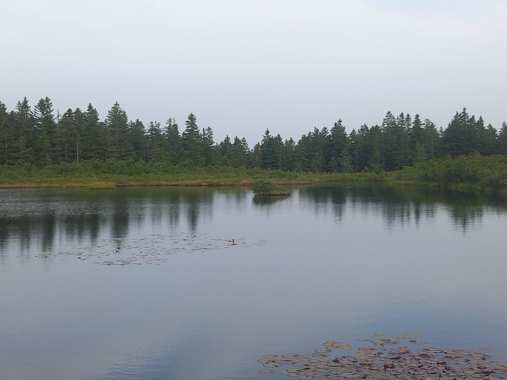 20240620_192908.jpg