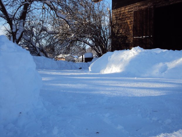 Dsc00263_w6.jpg