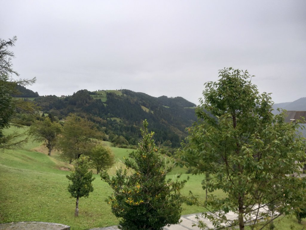 20240914_172056.jpg