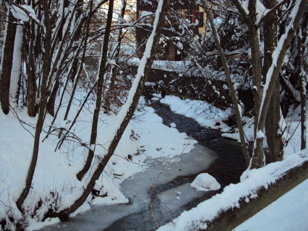 Dsc00270_w6.jpg