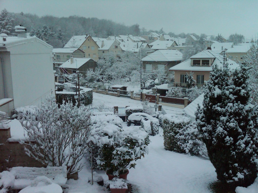IMG00159-20101220-0920 - Copie.jpg