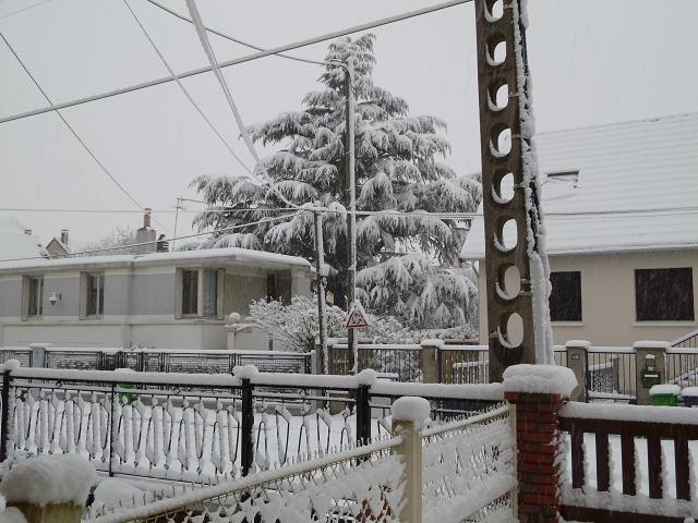 P1000217A.jpg