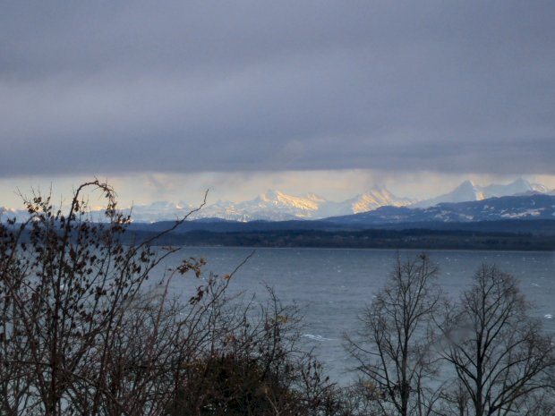 Dsc00278_w6m.jpg