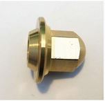 Ecrou Stop Pilote.JPG