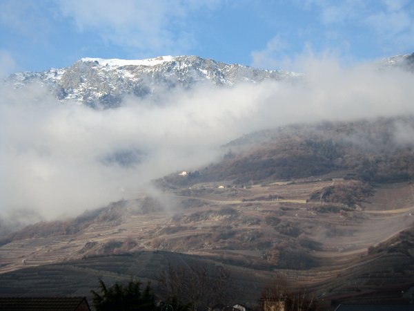 Dsc00294_w6m.jpg