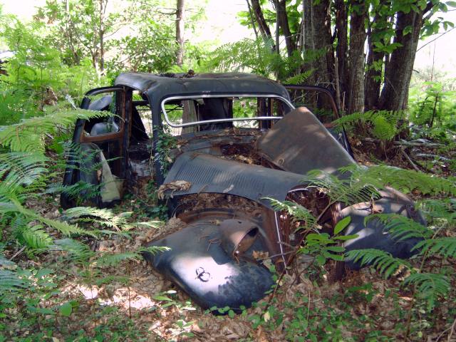 dvi38p4u.jpg
