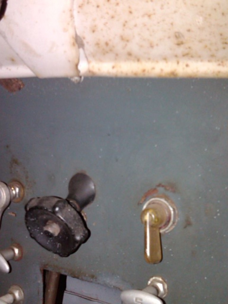IMG00208-20110203-1544 - Copie.jpg