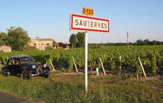 Traction Sauternes-_IMG.JPG
