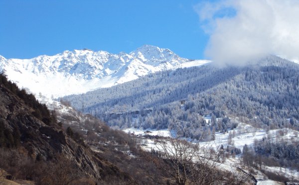 Dsc00312_w6m.jpg