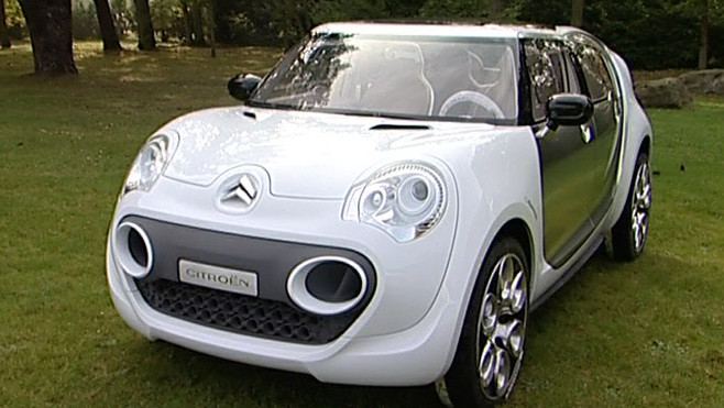 2 CV C Cactus.jpg