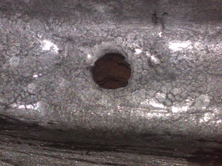IMG00416-20120312-1722 - Copie.jpg