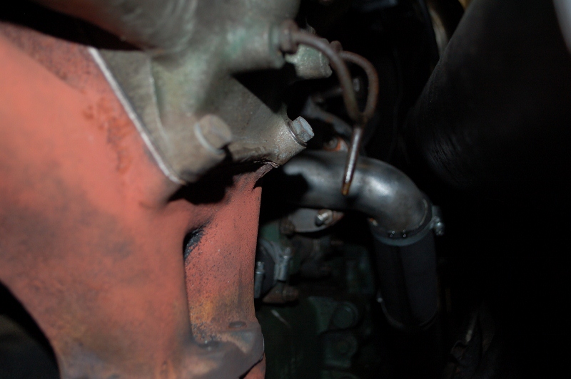 DSC_0004 (800x532).jpg