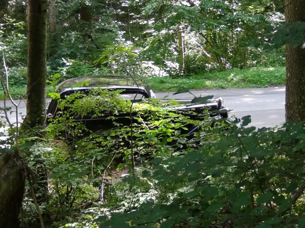 Dsc00040_hd6.jpg