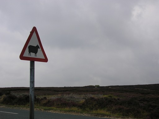 Route Matin 2.JPG