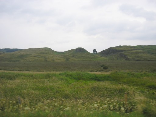 Mur Adrien 3.JPG