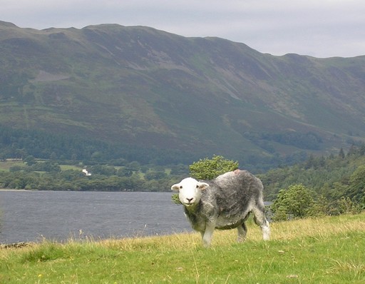 Lake 6.JPG