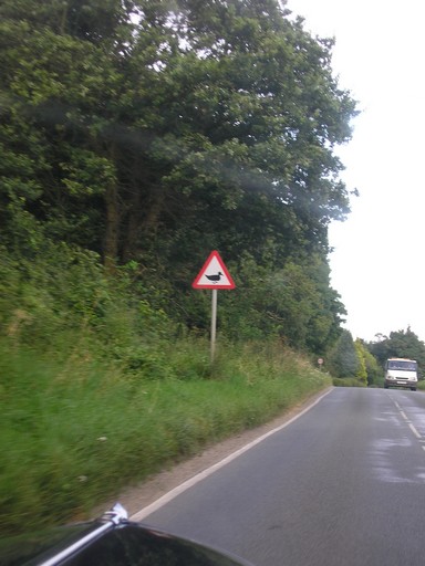 Route AM 4.jpg