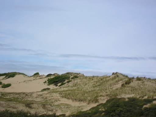 route Cote 2.JPG