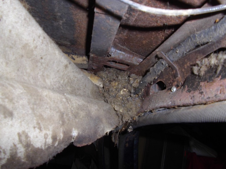 TRACTION 014 - Copie.JPG