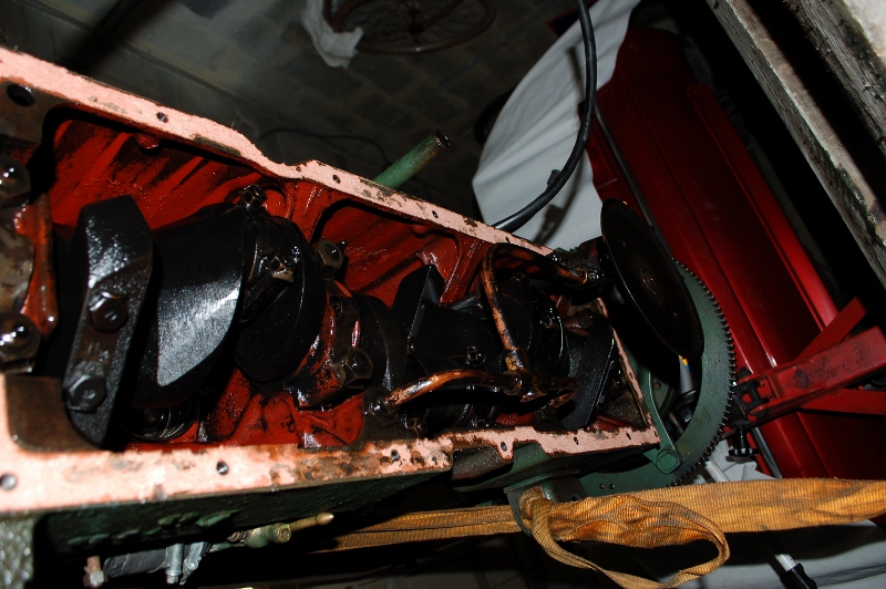 DSC_0164 (800x532).jpg