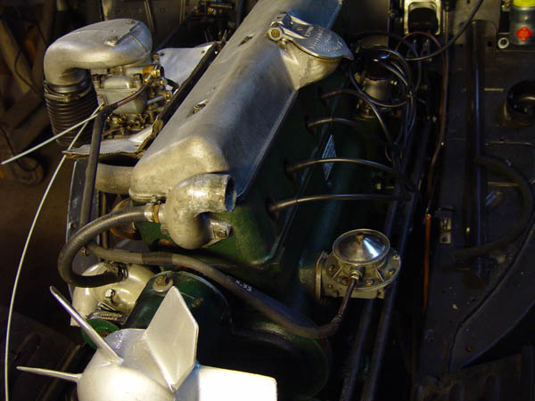 DSC03996_6.jpg