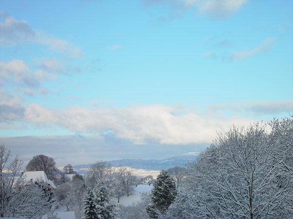 DSC04007_6.jpg