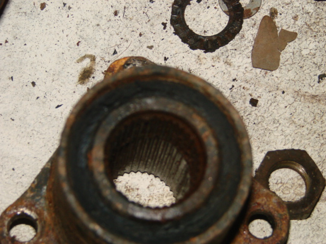 DSC04282.JPG