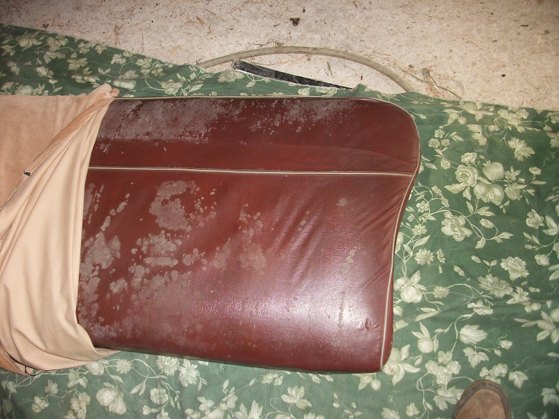IMGP2091p.jpg