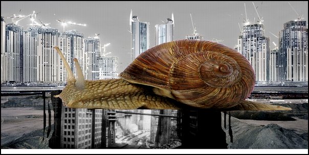 escargot1.jpg