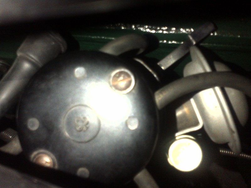 IMG-20140616-00295.jpg