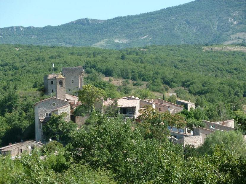 Photo.jpg