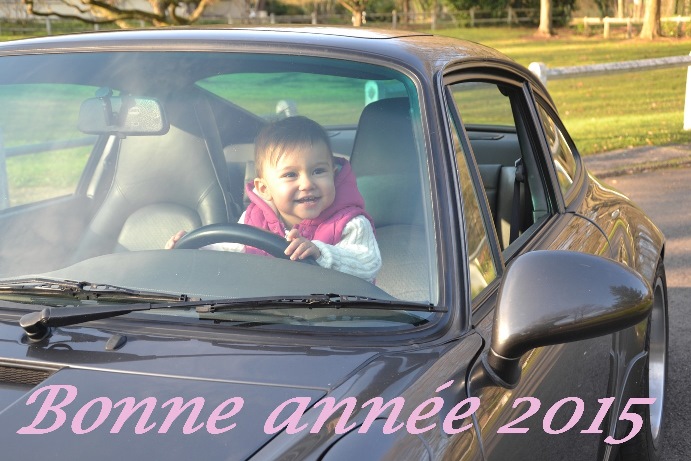 Bonne année 2015tu.jpg