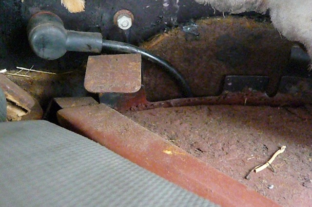 P1070899 réduite.jpg