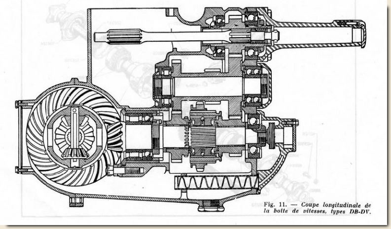 BV_15.JPG