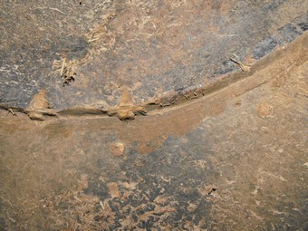 DSCF5190.JPG